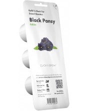 Semințe Click and Grow - Black pansy, 3 rezerve -1