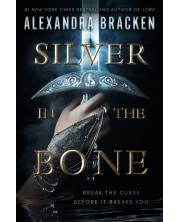 Silver in the Bone (Paperback)