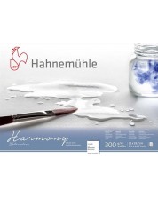 Bloc de schițe Hahnemuhle Harmony - A4, hârtie aspră, 12 coli -1