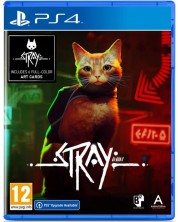 Stray (PS4) -1