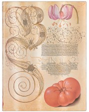 Carnețel Paperblanks Lily & Tomato - 18 х 23 cm, 88 de coli -1