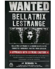 Carnețel CineReplicas Filme: Harry Potter - Se caută Bellatrix Lestrange, format A5