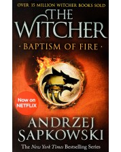 Baptism of Fire: Witcher 3 -1