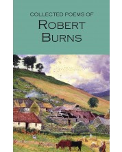 The Collected Poems of Robert Burns: Wordsworth Poetry Library -1