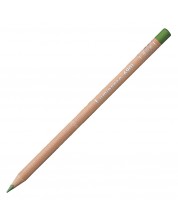 Creion colorat Caran d'Ache Luminance 6901 - Moss green (225) -1