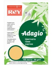 Hartie colorata pentru copiator Rey Adagio - Beige, A4, 80 g, 100 coli