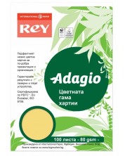 Hartie colorata pentru copiator Rey Adagio - Buttercup, A4, 80 g, 100 coli