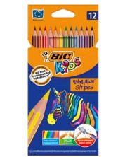 Creioane colorate BIC Evolution Stripes - 12 culori -1
