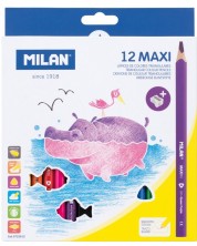 Creioane 12 culori, MAXI + ascuțitoare de creioane, triunghi 261, -1