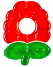 Jucărie pentru dentiție pe apă Wee Baby - Funny Colored,  strugure