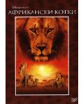 African Cats (DVD) - 1t