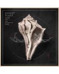 Robert Plant - Lullaby And The Ceaseless Road (CD) - 1t