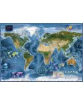 Puzzle Heye de 2000 piese - Satellite Map - 2t