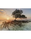 Puzzle Heye de 1000 piese - Copacul rosu de mangrove , Alexander fundal Humboldt - 2t