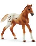 Set figurine Schleich Horse Club - Pentru turneele Lisei - 5t