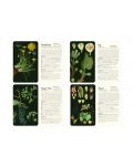 50 Plants that Heal: Discover Medicinal Plants - A Card Deck - 4t
