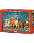 Puzzle Castorland de 500 piese - Cat Aristocracy - 1t
