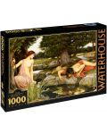 Puzzle D-Toys de 1000 piese – Ecou si Narcis, John William Waterhouse - 1t
