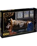 Puzzle D-Toys de 1000 piese - Frumoasa adformita, John Collier - 1t