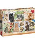 Puzzle Jumbo de 1000 piese - Marci postale cu pisici - 1t