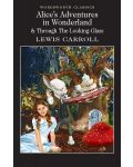 Alice's Adventures in Wonderland and Through the Looking Glass - 1t