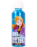 Sticlă din aluminiu Disney - Frozen, 500 ml - 1t
