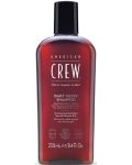 American Crew Șampon pentru păr gri, 250 ml - 1t