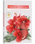 Lumanari parfumate Bispol Aura - Hibiscus-White Sage, 6 bucăți - 1t
