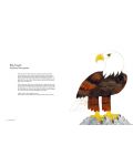 Atlas of Amazing Birds - 6t