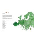 Atlas of Amazing Birds - 4t