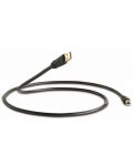 Cablu audio QED - Performance Graphite, USB-A/USB-B M/M, 1.5m, negru - 1t