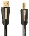 Cablu audio QED - Performance - Hi Ref, USB -A/USB-B M/M, 1 m, negru - 4t