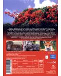 BBC Earth: Secrets of Wild India (DVD) - 2t