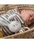 Zrăgănitoare moale pentru bebeluș Taf Toys - Iepurașul Riley - 2t