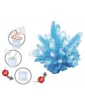 Mini laborator Buki Mini Lab - Cristale crescatoare, albastre - 3t