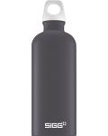 Sticlă Sigg Lucid - gri, 0.6 L - 1t