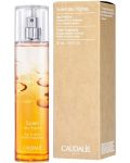 Caudalie Soleil des Vignes Apă aromată, 50 ml - 2t