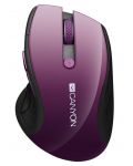 Mouse wireless Canyon - CNS-CMSW01P, optic, wireless, mov - 1t
