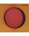 Caetano Veloso - Ofertorio (CD) - 1t