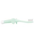 Dr. Brown's First Tooth and Gum Brush - Albastru - 5t