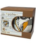 Cană ABYstyle Movies: Harry Potter - Hufflepuff (Stand Together) - 3t