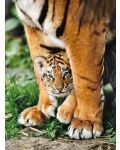 Puzzle Clementoni de 500 piese - Pui de tigru bengalez si mama lui - 2t