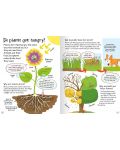 Curious Questions and Answers: Plants (Miles Kelly) - 4t
