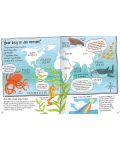 Curious Questions and Answers: Our Oceans (Miles Kelly)	 - 3t