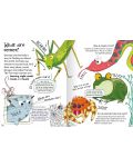Curious Questions and Answers About Animals (Miles Kelly) - 5t