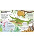 Curious Questions and Answers About Animals (Miles Kelly) - 4t