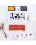Set de ștampile din lemn Acool Toy - Create Your Insect - 7t