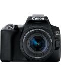 Aparat foto DSLR Canon - EOS 250D, EF-S 18-55mm ST, negru - 1t