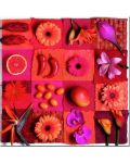 Puzzle  Educa din 3 x 500 piese - Flori si fructe exotice - 4t