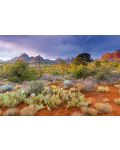Puzzle Educa de 4000 piese - Parcul national Rand Rock, Arizona - 2t